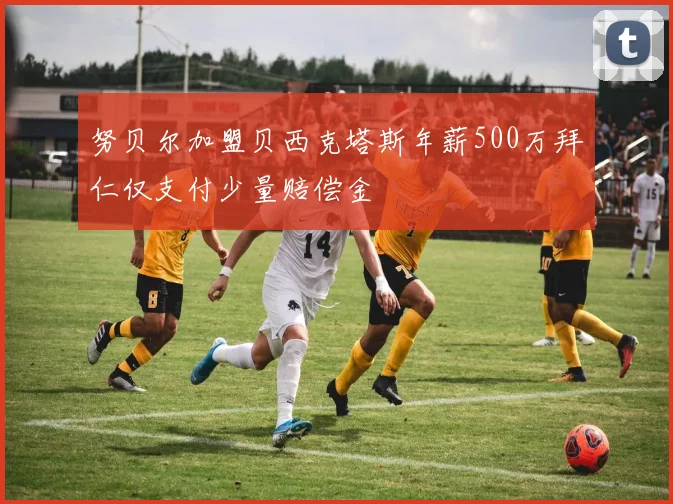 努贝尔加盟贝西克塔斯年薪500万拜仁仅支付少量赔偿金
