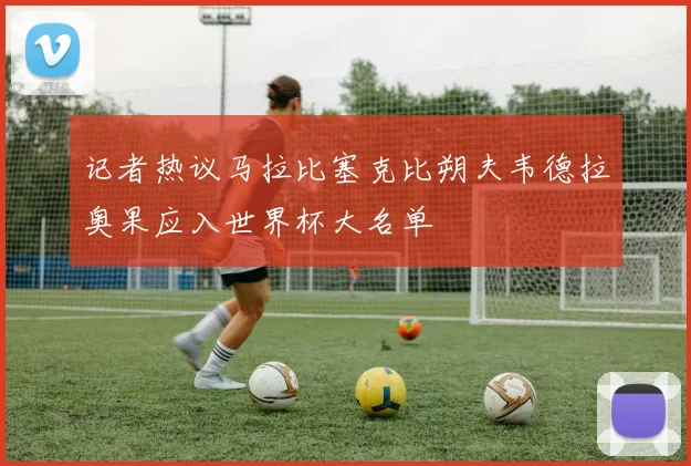 记者热议马拉比塞克比朔夫韦德拉奥果应入世界杯大名单