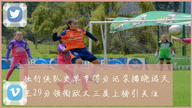 独行侠队史单节得分记录揭晓诺天王29分领衔欧文三度上榜引关注